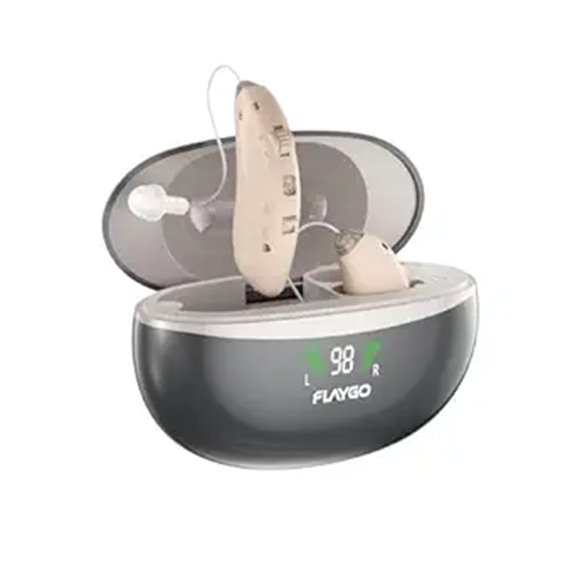 Rechargeable Digital Hearing Aids with Noise Cancellation