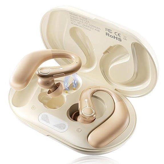 Rechargeable Bluetooth Hearing Aids with Noise Cancelling