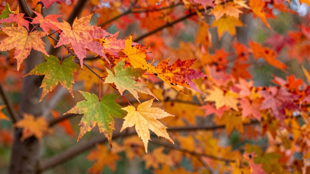 monitoring leaf color changes