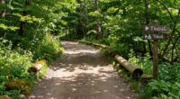 simplify and clarify pathways