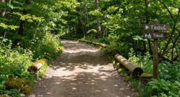 simplify and clarify pathways