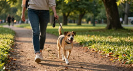 The Safest Way to Freedom for Your Dog