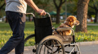 13 Best Dog Mobility Aids in 2026