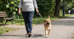 Why Race Alone When Your Dog Can Join, Too?