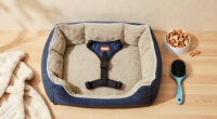 11 Best Products for Senior Dog Owners in 2026