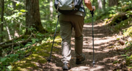 15 Best Hiking Gear for Seniors in 2026